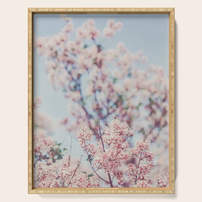 Spring Lilac Flowers Against the Sky Serving Tray Gallery Image 1