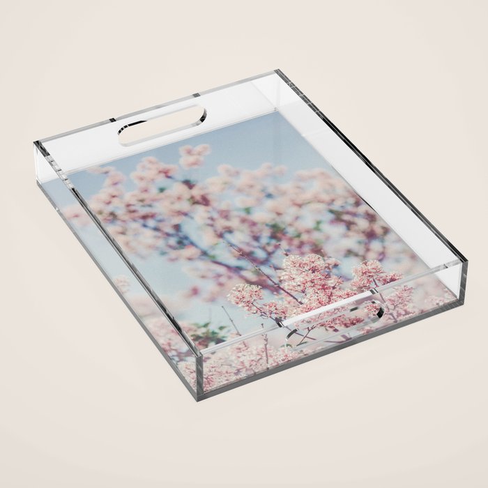 Spring Lilac Flowers Against the Sky Acrylic Tray Gallery Image 1