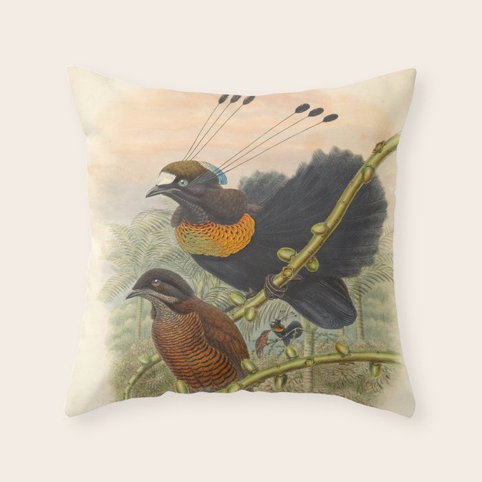 Birds-of-paradise (Parotia Lawesi) by John Gould, 1875-1888 (benefitting the Nature Conservancy) Throw Pillow Gallery Image 6
