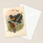 Birds-of-paradise (Parotia Lawesi) by John Gould, 1875-1888 (benefitting the Nature Conservancy) Stationery Card Gallery Image 2
