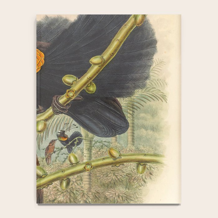 Birds-of-paradise (Parotia Lawesi) by John Gould, 1875-1888 (benefitting the Nature Conservancy) Notebook Gallery Image 4