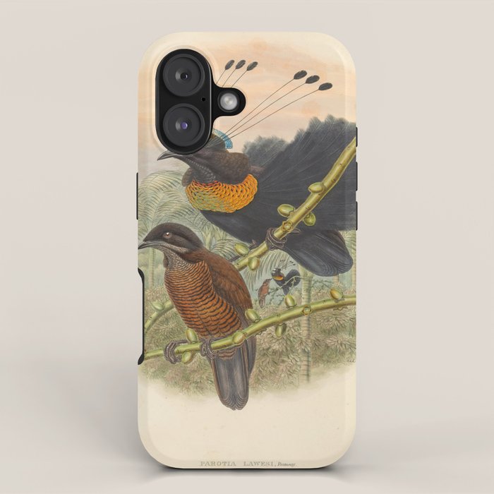 Birds-of-paradise (Parotia Lawesi) by John Gould, 1875-1888 (benefitting the Nature Conservancy) iPhone Case Gallery Image 1