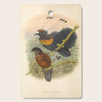Birds-of-paradise (Parotia Lawesi) by John Gould, 1875-1888 (benefitting the Nature Conservancy) Cutting Board Gallery Image 1