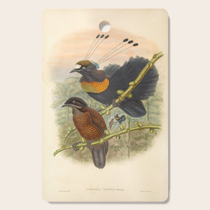 Birds-of-paradise (Parotia Lawesi) by John Gould, 1875-1888 (benefitting the Nature Conservancy) Cutting Board Gallery Image 1