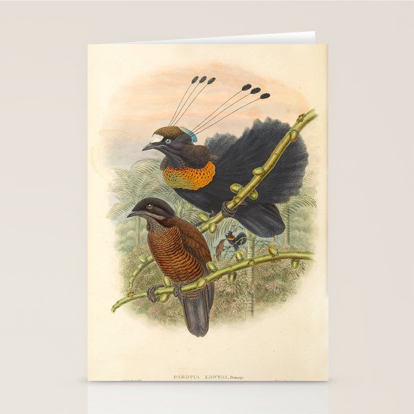 Birds-of-paradise (Parotia Lawesi) by John Gould, 1875-1888 (benefitting the Nature Conservancy) Stationery Card Gallery Image 2