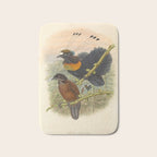 Birds-of-paradise (Parotia Lawesi) by John Gould, 1875-1888 (benefitting the Nature Conservancy) Bath Mat Gallery Image 1