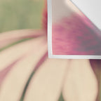 Coneflower Study Wall Tapestry Gallery Image 3