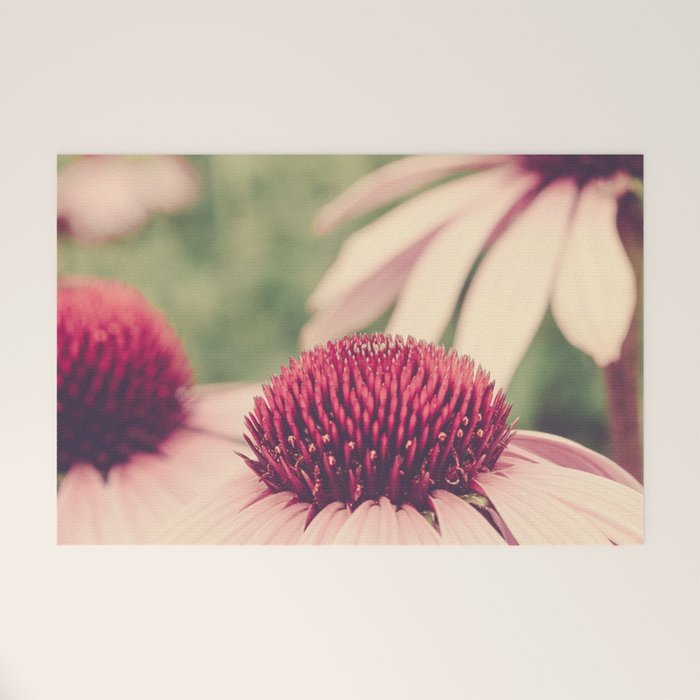 Coneflower Study Welcome Mat Gallery Image 1