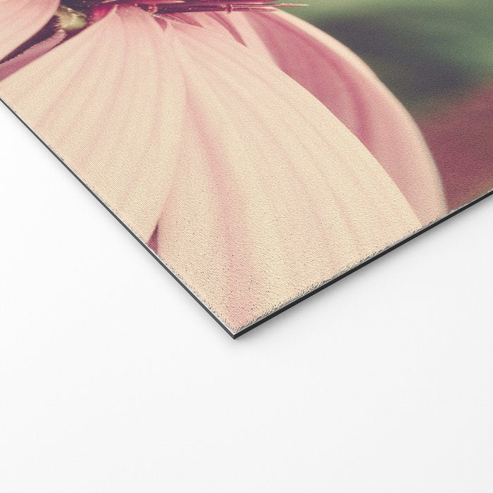 Coneflower Study Welcome Mat Gallery Image 2