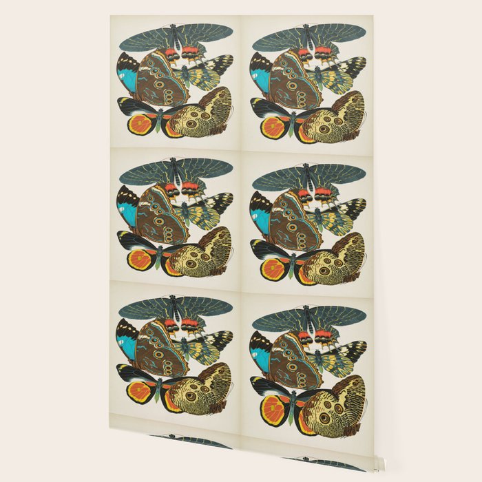 Vintage Butterfly Illustration EA Seguy Papillon Wallpaper Gallery Image 2