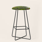 Historia naturalis palmarum - Carl Friedrich Philipp von Martius - c.1836-1850 Stool Gallery Image 1