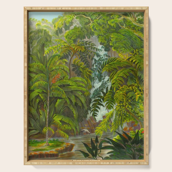 Historia naturalis palmarum - Carl Friedrich Philipp von Martius - c.1836-1850 Serving Tray Gallery Image 1
