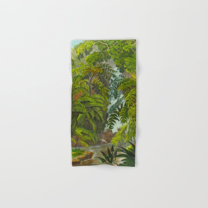 Historia naturalis palmarum - Carl Friedrich Philipp von Martius - c.1836-1850 Towels Gallery Image 1