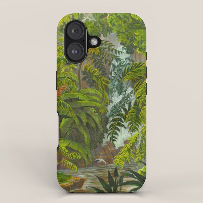 Historia naturalis palmarum - Carl Friedrich Philipp von Martius - c.1836-1850 iPhone Case Gallery Image 1