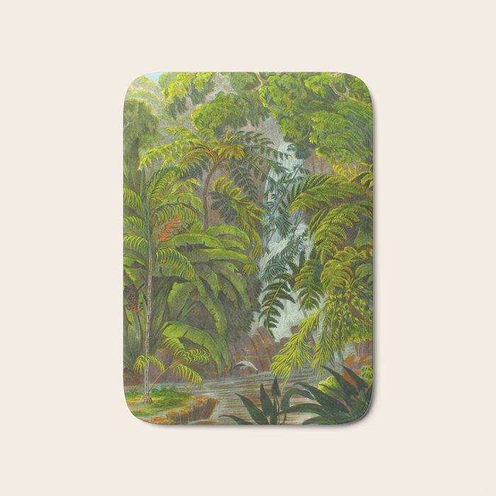 Historia naturalis palmarum - Carl Friedrich Philipp von Martius - c.1836-1850 Bath Mat Gallery Image 1