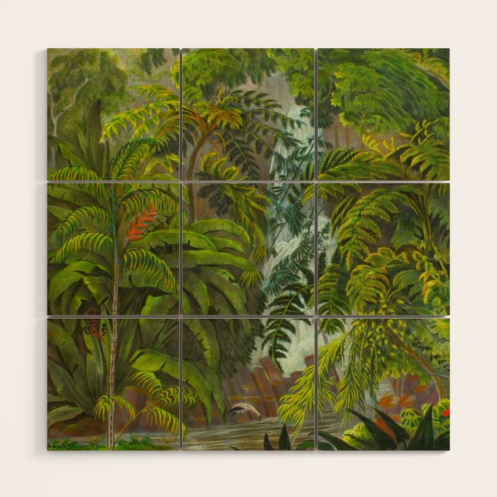 Historia naturalis palmarum - Carl Friedrich Philipp von Martius - c.1836-1850 Wood Wall Art Gallery Image 1