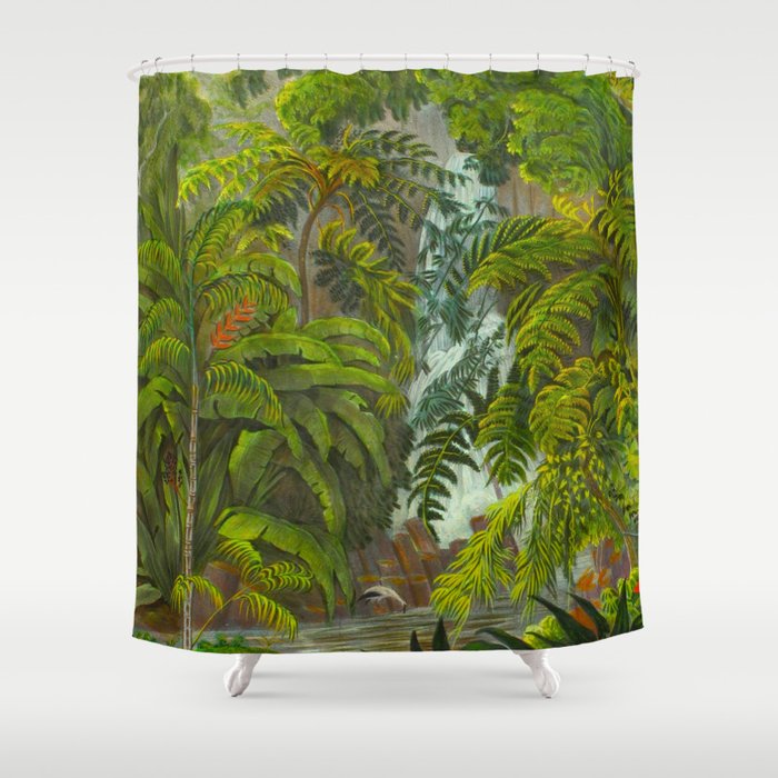 Historia naturalis palmarum - Carl Friedrich Philipp von Martius - c.1836-1850 Shower Curtain Gallery Image 1