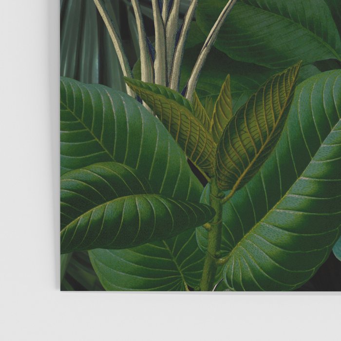 Moody Midnight Jungle Lush Tropical Paradise Poster Gallery Image 3