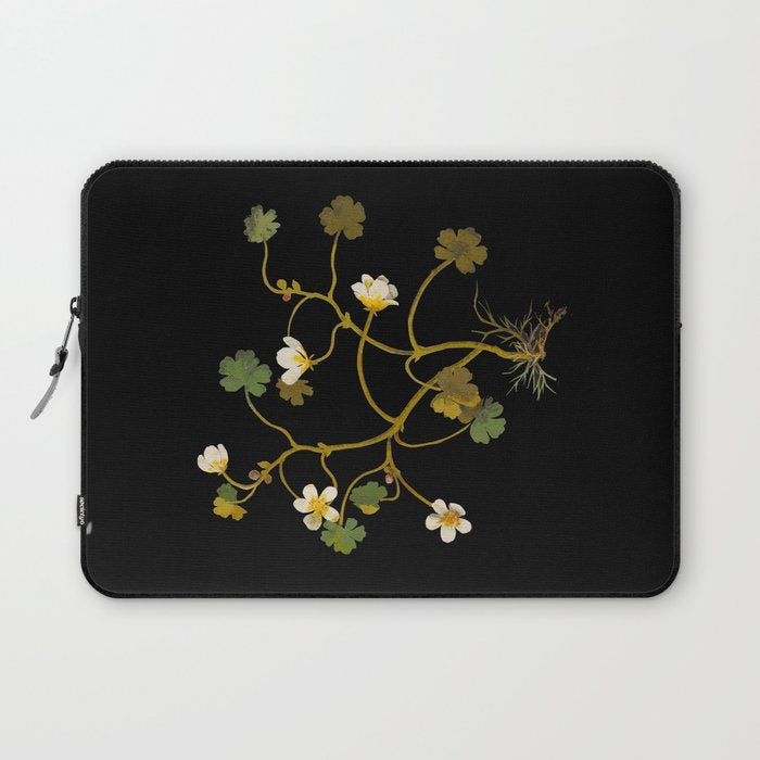 Ranunculus Aquaticus (Polyandria Polygynia) by Mary Delany Paper Collage Floral Flower Botanical Paper Mosaic Vintage Scientific Plant Anatomy Laptop Sleeve Gallery Image 1