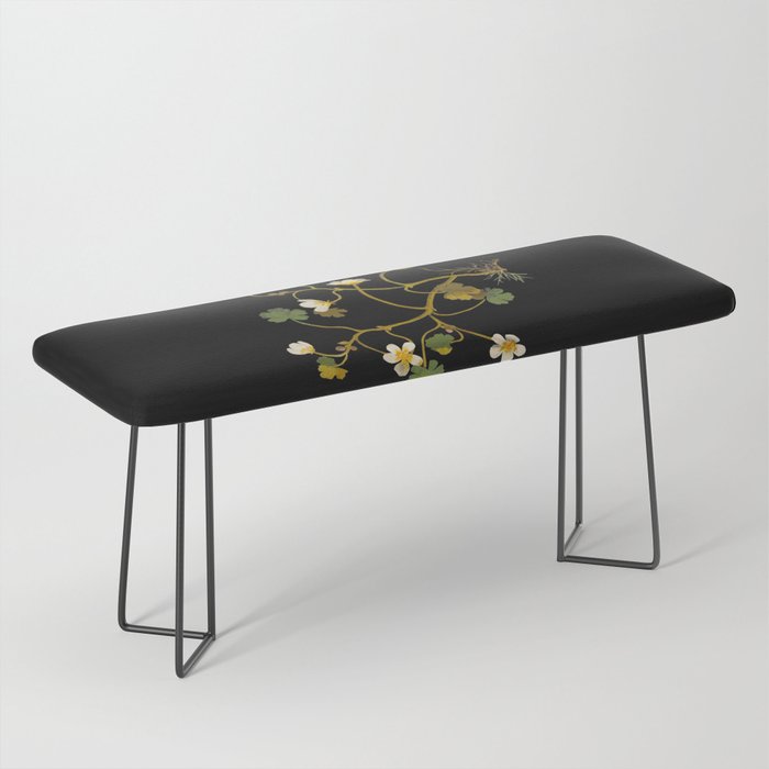 Ranunculus Aquaticus (Polyandria Polygynia) by Mary Delany Paper Collage Floral Flower Botanical Paper Mosaic Vintage Scientific Plant Anatomy Bench Gallery Image 1