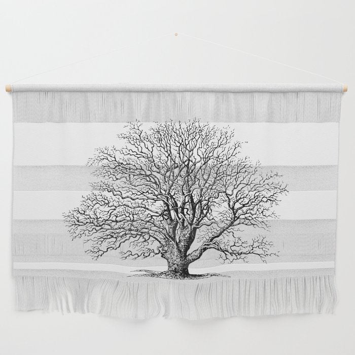 oak tree botanical no2 Wall Hanging Gallery Image 1