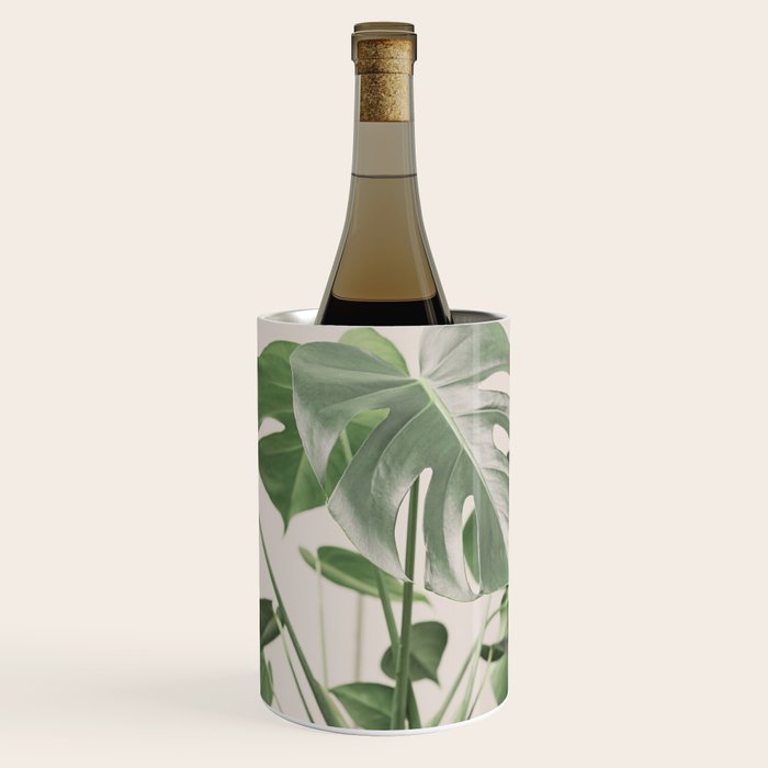 My monstera Wine Chiller Gallery Image 1