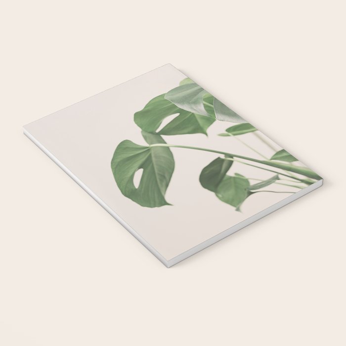 My monstera Notebook Gallery Image 3