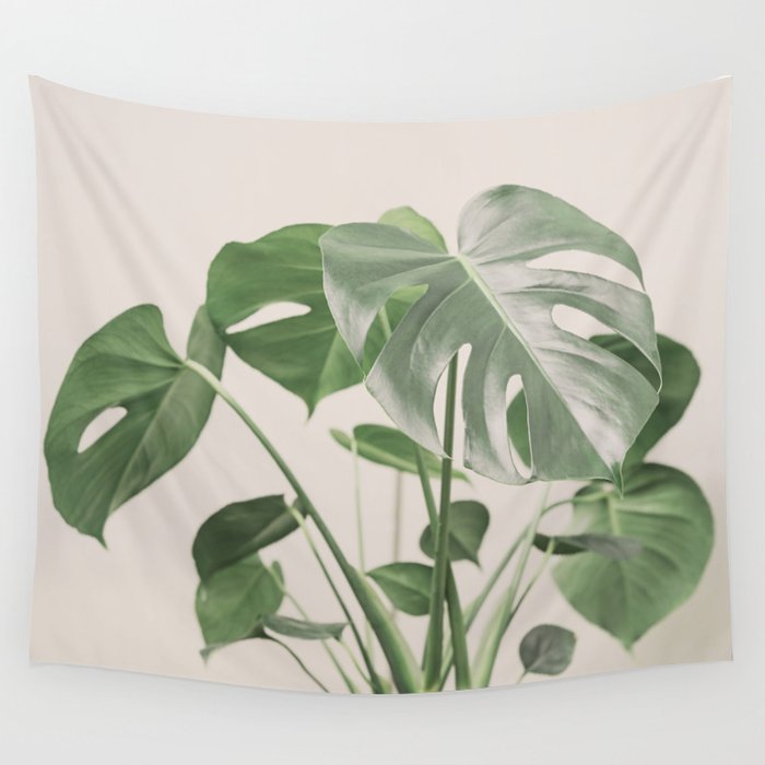 My monstera Wall Tapestry Gallery Image 4