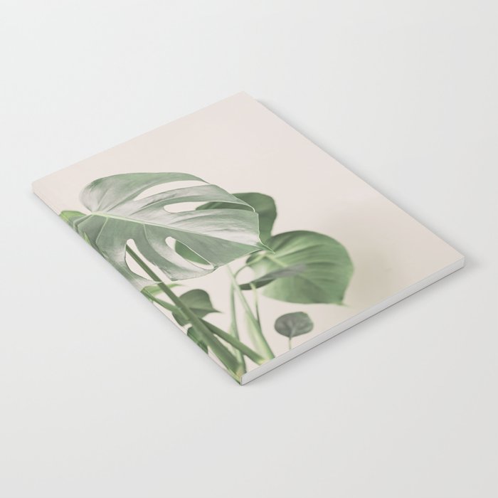 My monstera Notebook Gallery Image 1