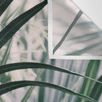 Fan Palms Galore - Tropical Nature Photography Wall Tapestry Gallery Image 3