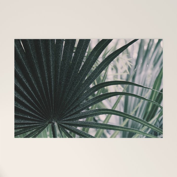 Fan Palms Galore - Tropical Nature Photography Welcome Mat Gallery Image 1