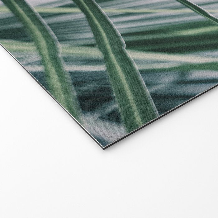 Fan Palms Galore - Tropical Nature Photography Welcome Mat Gallery Image 2