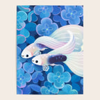 White tuxedo guppy Poster Gallery Image 4