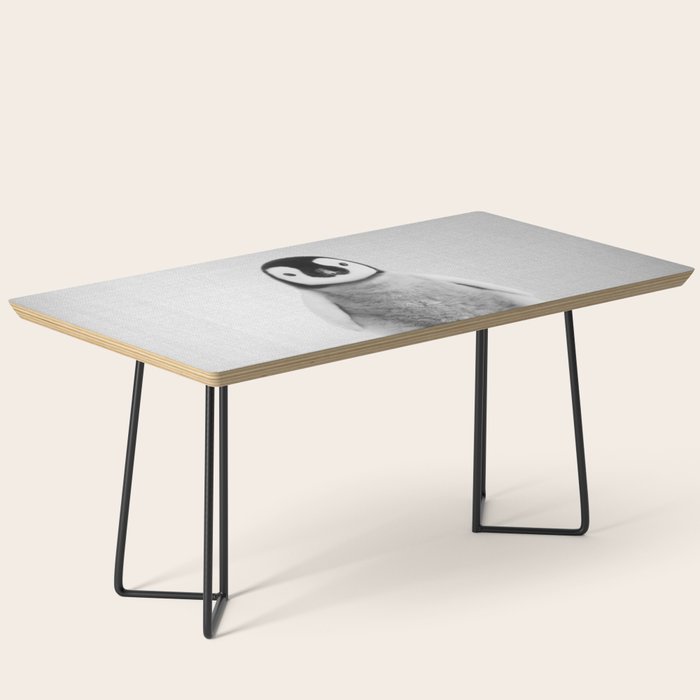 Baby Penguin - Black & White Coffee Table Gallery Image 1