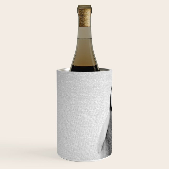 Baby Penguin - Black & White Wine Chiller Gallery Image 2