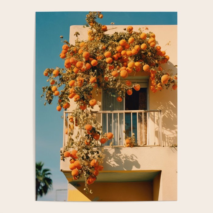 Californian Oranges in Summer Poster