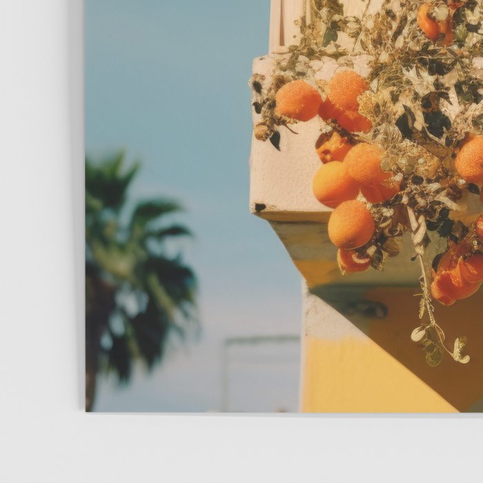 Californian Oranges in Summer Poster Gallery Image 3