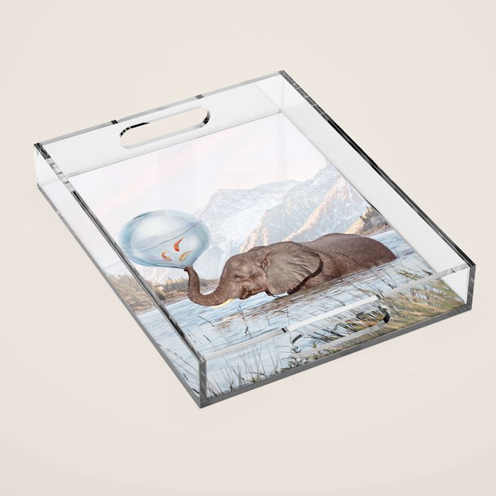 In a Bubble Acrylic Tray Gallery Image 1