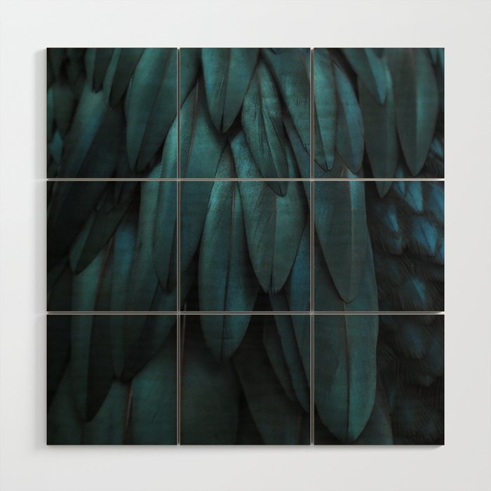 DARK FEATHERS Wood Wall Art Gallery Image 1