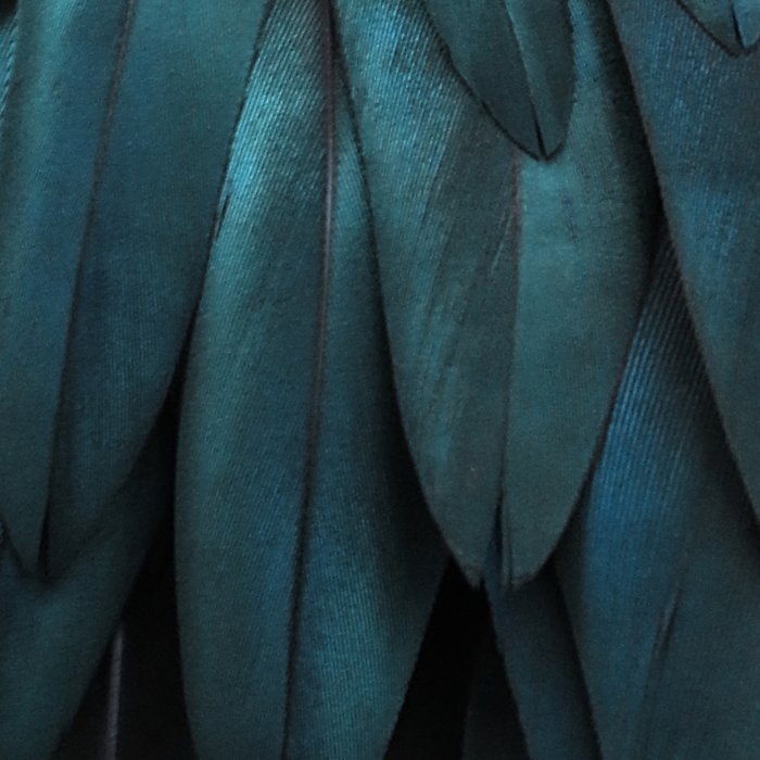 DARK FEATHERS Coffee Mug Gallery Image 2