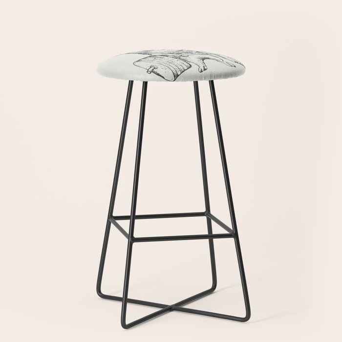 Corgi Lift Stool Gallery Image 1