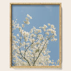 White Dogwood Flowers - spring flower photograph Serving Tray Gallery Image 1