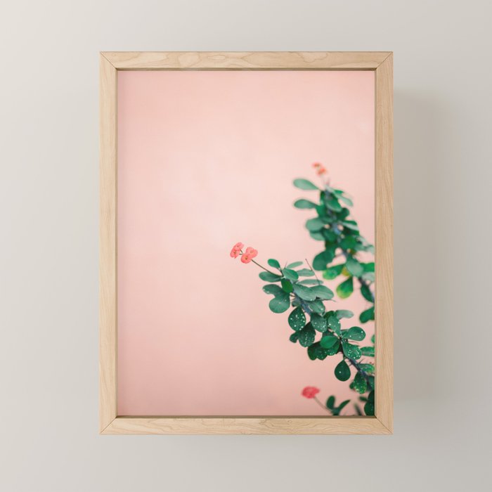 Floral photography print | Green on coral | Botanical photo art Mini Art Print Gallery Image 1