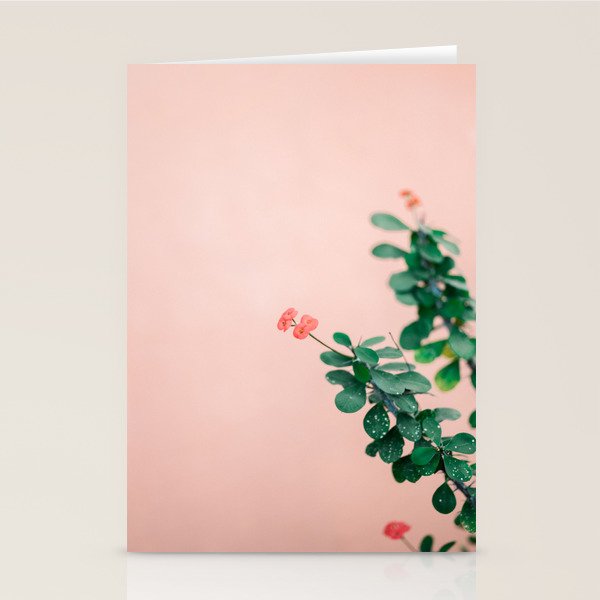 Floral photography print | Green on coral | Botanical photo art Stationery Card Gallery Image 2