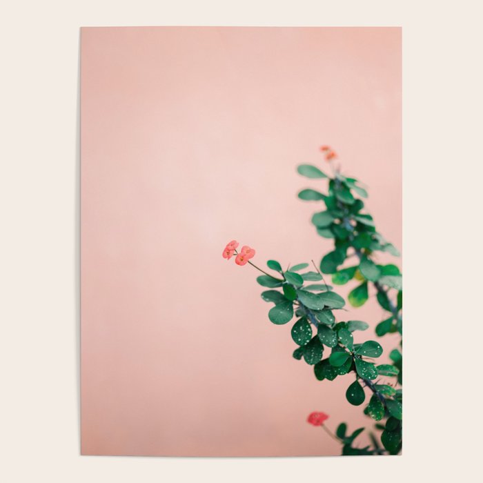Floral photography print | Green on coral | Botanical photo art Poster Gallery Image 4