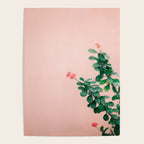 Floral photography print | Green on coral | Botanical photo art Poster Gallery Image 4