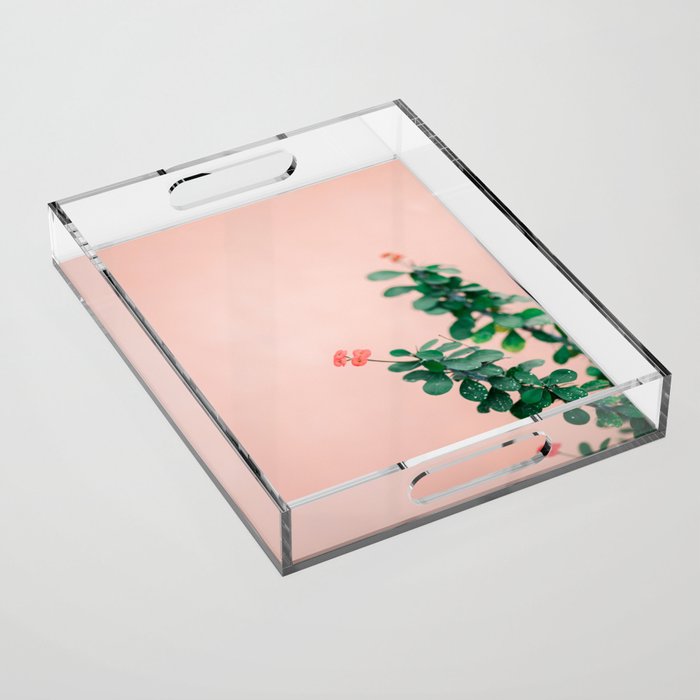 Floral photography print | Green on coral | Botanical photo art Acrylic Tray Gallery Image 1