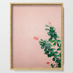 Floral photography print | Green on coral | Botanical photo art Serving Tray Gallery Image 1