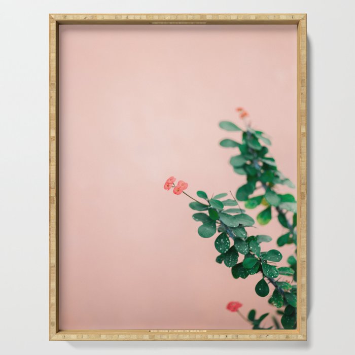 Floral photography print | Green on coral | Botanical photo art Serving Tray Gallery Image 1