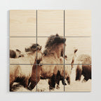 WILD AND FREE 2 - HORSES OF ICELAND Wood Wall Art Gallery Image 1